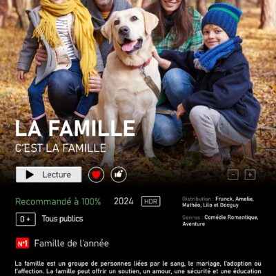 Affiche Netflix